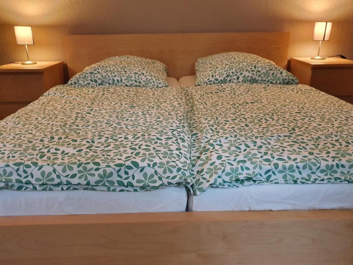 Grosse Ferienwohnung An Der Rheinpromenade Three Duisbourg Extérieur photo